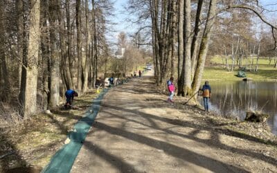 Amphibien-Schutzzaun von Naturpark Junior-Ranger-Gruppe aufgebaut
